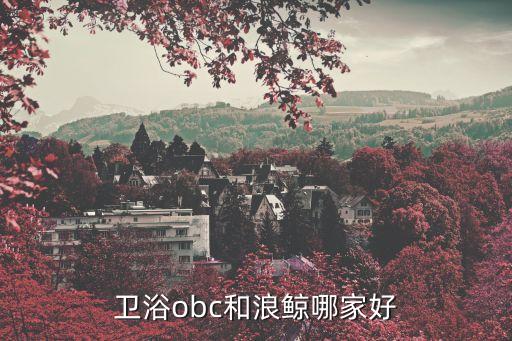 衛(wèi)浴obc和浪鯨哪家好