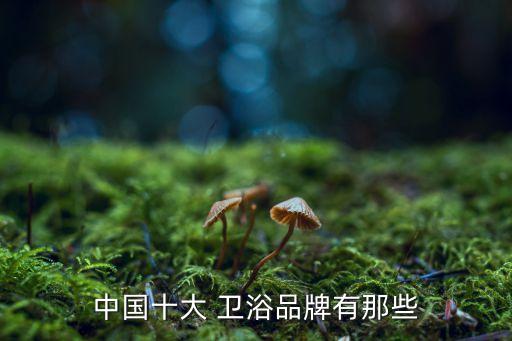 國內(nèi)衛(wèi)浴牌子,我國衛(wèi)浴品牌比國外差不少?