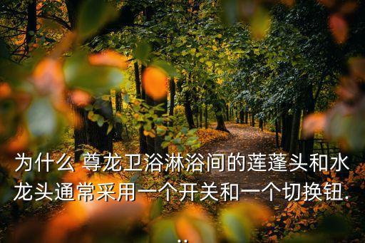 為什么 尊龍衛(wèi)浴淋浴間的蓮蓬頭和水龍頭通常采用一個(gè)開關(guān)和一個(gè)切換鈕...