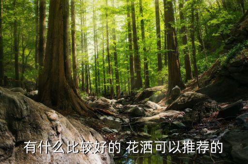 有什么比較好的 花灑可以推薦的