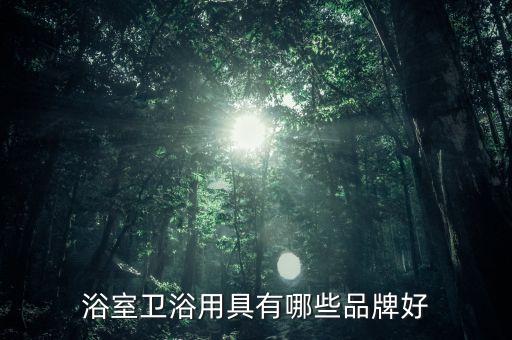 杜菲尼衛(wèi)浴好嗎,杜菲尼衛(wèi)浴是否屬于時(shí)代潮流