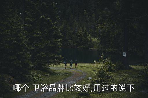 哪個 衛(wèi)浴品牌比較好,用過的說下