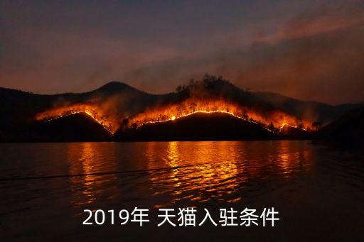 2019年 天貓入駐條件