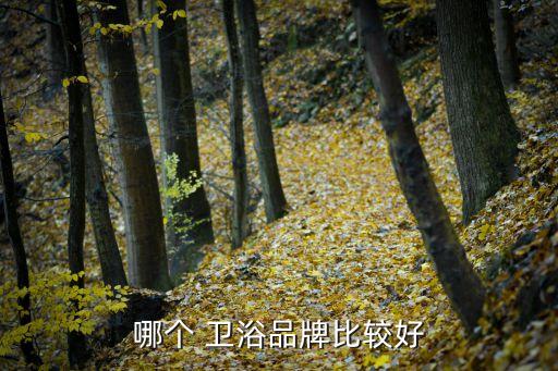 輝煌衛(wèi)浴蹲便器,選擇衛(wèi)浴不能只看價(jià)格，還要看品牌