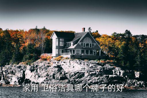 家用 衛(wèi)浴潔具哪個牌子的好