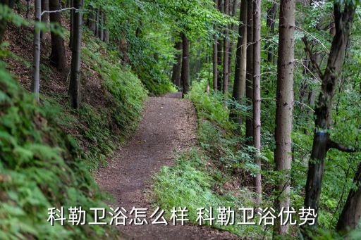  科勒衛(wèi)浴怎么樣 科勒衛(wèi)浴優(yōu)勢(shì)