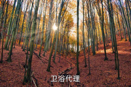 衛(wèi)浴代理