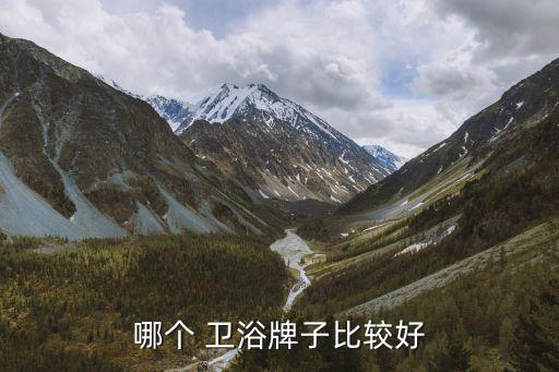 席勒衛(wèi)浴 耐磨,toto十大衛(wèi)浴品牌推薦名單出爐!