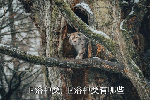 酒店衛(wèi)浴標(biāo)準(zhǔn),酒店用品-基本要求:酒店耗材用的比較多