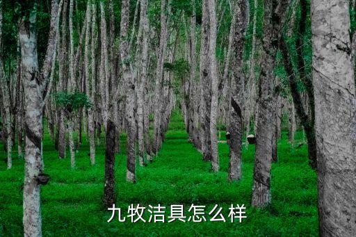 九牧衛(wèi)浴11129-2,選擇九牧衛(wèi)浴注意事項(xiàng)