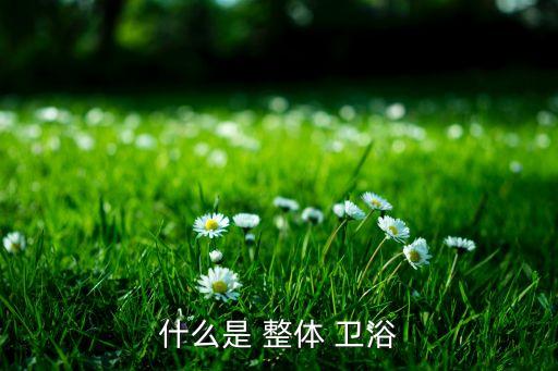 什么是 整體 衛(wèi)浴