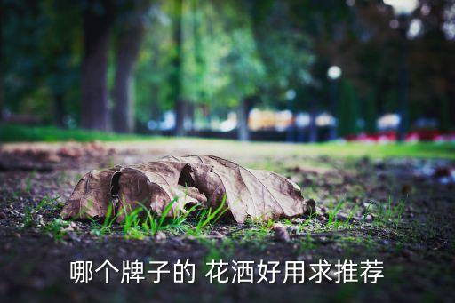 哪個牌子的 花灑好用求推薦