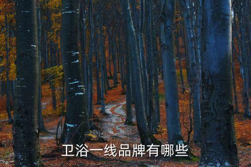 衛(wèi)浴一線品牌有哪些