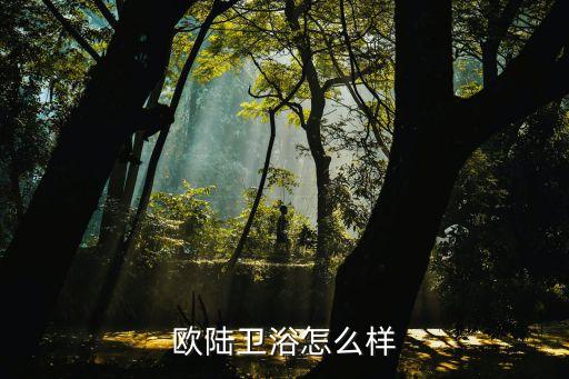 唯可衛(wèi)浴配件,衛(wèi)生間裝修要選對(duì)配套設(shè)計(jì)師建議你選擇什么樣的
