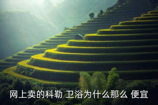 網(wǎng)上賣(mài)的科勒 衛(wèi)浴為什么那么 便宜