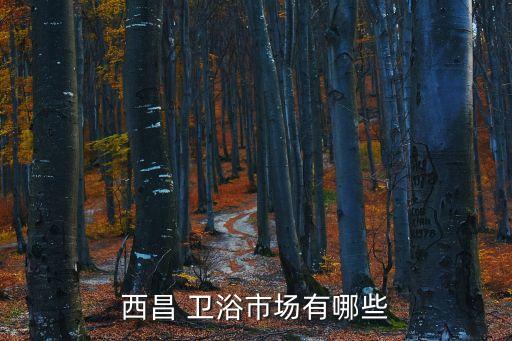 西昌 衛(wèi)浴市場有哪些