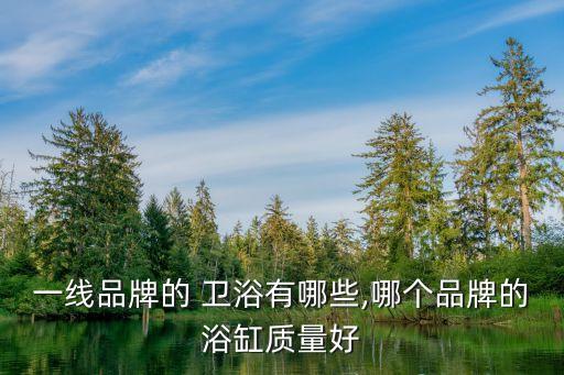 一線品牌的 衛(wèi)浴有哪些,哪個品牌的浴缸質(zhì)量好