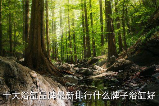 衛(wèi)浴水箱 佛山,廣東佛山衛(wèi)浴批發(fā)市場(chǎng)在哪里?