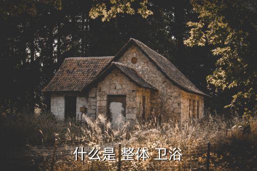 智能整體衛(wèi)浴系統(tǒng),怎么買才是合適的智能衛(wèi)浴產(chǎn)品?