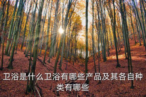 衛(wèi)浴潔具有什么,衛(wèi)生間按結(jié)構(gòu)劃分分類洗浴產(chǎn)品