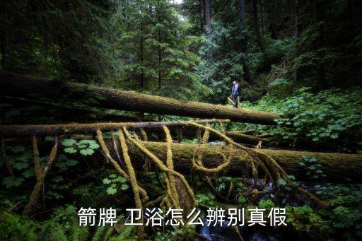 箭牌 衛(wèi)浴怎么辨別真假