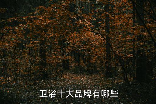  衛(wèi)浴十大品牌有哪些