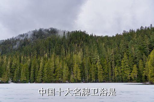 重慶樂(lè)家衛(wèi)浴,十大衛(wèi)浴品牌名錄出爐