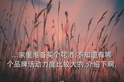 ...家里準備買個花灑,不知道有哪個品牌活動力度比較大的,介紹下啊...