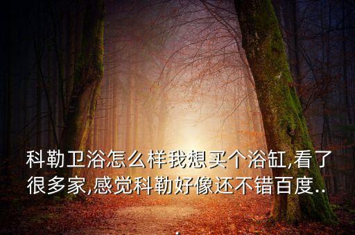  科勒衛(wèi)浴怎么樣我想買(mǎi)個(gè)浴缸,看了很多家,感覺(jué)科勒好像還不錯(cuò)百度...