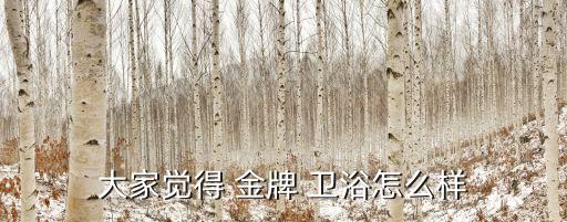 大家覺得 金牌 衛(wèi)浴怎么樣