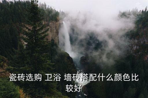 瓷磚選購 衛(wèi)浴 墻磚搭配什么顏色比較好
