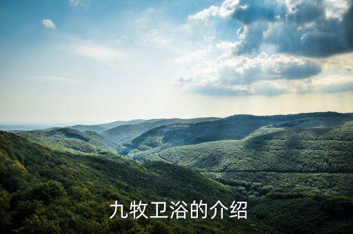 九牧衛(wèi)浴總代理在八益建材哪里,選擇九牧衛(wèi)浴產(chǎn)品注意事項