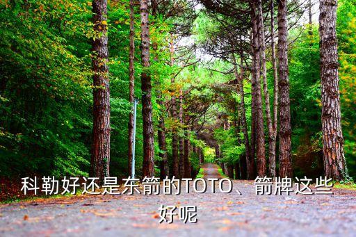 科勒好還是東箭的TOTO、箭牌這些好呢