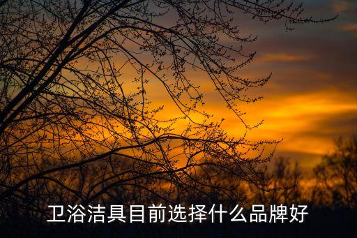 衛(wèi)浴潔具目前選擇什么品牌好