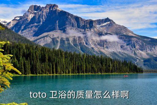代理toto衛(wèi)浴好不好,toto馬桶智能省電比托馬桶省電