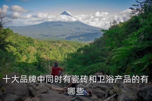 十大品牌中同時(shí)有瓷磚和衛(wèi)浴產(chǎn)品的有哪些