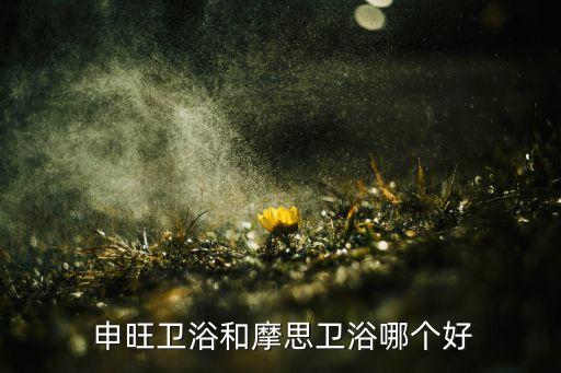  申旺衛(wèi)浴和摩思衛(wèi)浴哪個(gè)好