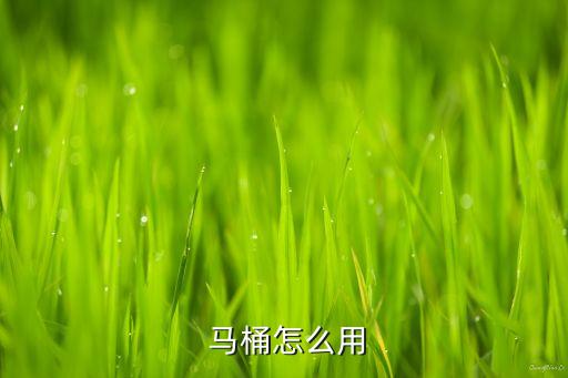  馬桶怎么用