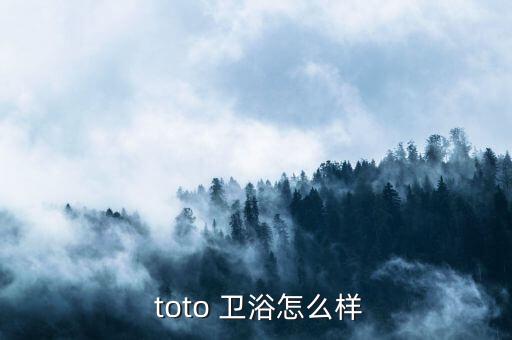  toto 衛(wèi)浴怎么樣