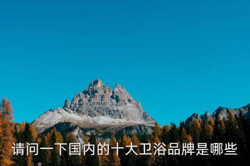 請(qǐng)問一下國(guó)內(nèi)的十大衛(wèi)浴品牌是哪些