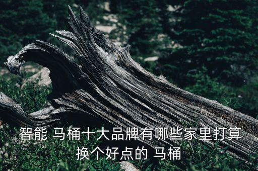 智能 馬桶十大品牌有哪些家里打算換個(gè)好點(diǎn)的 馬桶