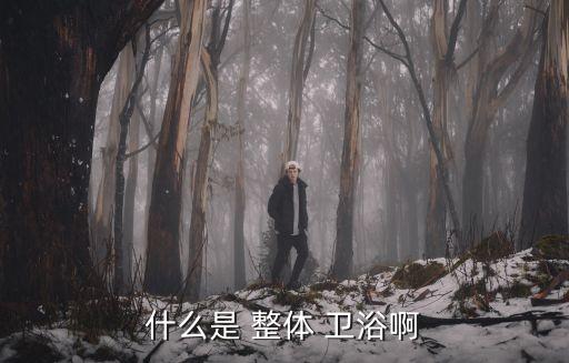 什么是 整體 衛(wèi)浴啊