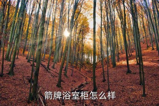 箭牌衛(wèi)浴怎么樣吧,箭牌衛(wèi)浴怎么做?從榮譽(yù)稱號(hào)來(lái)看