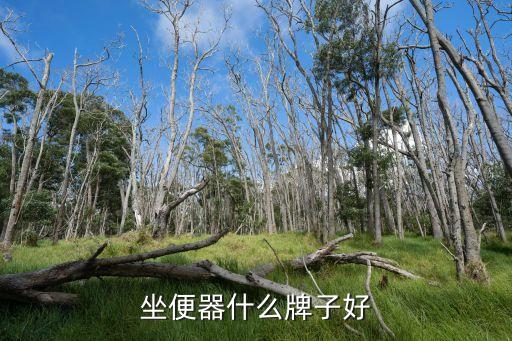 坐便器什么牌子好