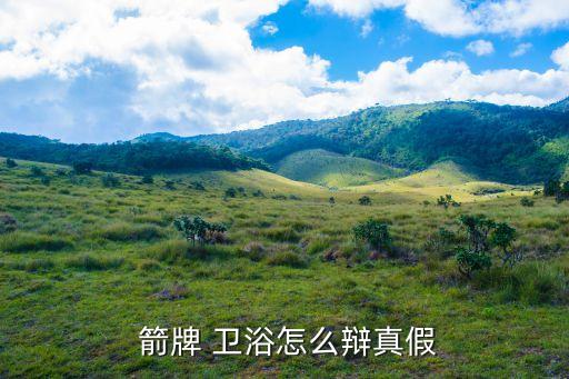  箭牌 衛(wèi)浴怎么辯真假