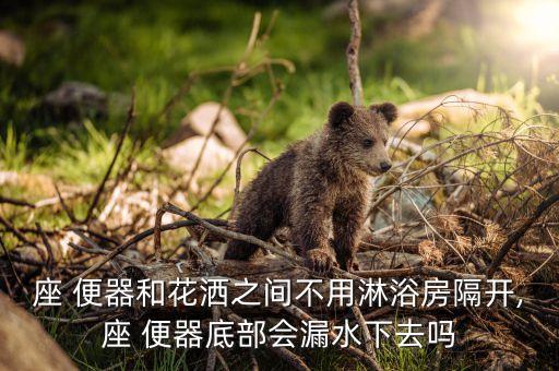 座 便器和花灑之間不用淋浴房隔開(kāi),座 便器底部會(huì)漏水下去嗎