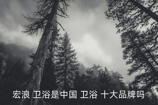 宏浪 衛(wèi)浴是中國(guó) 衛(wèi)浴 十大品牌嗎