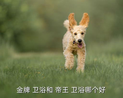 意大利帝王衛(wèi)浴家族企業(yè),王家衛(wèi)浴okok