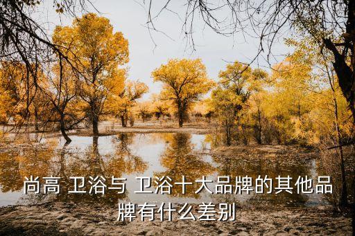 尚高 衛(wèi)浴與 衛(wèi)浴十大品牌的其他品牌有什么差別