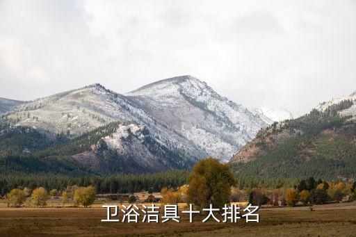  衛(wèi)浴潔具十大排名